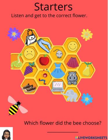 Listening - STARTERS