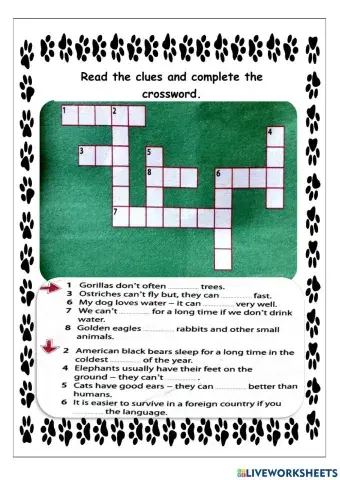 Year 5 - Animal Skills