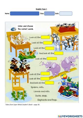 Year 1: Pet Show 4 - Plural form - like - don't like