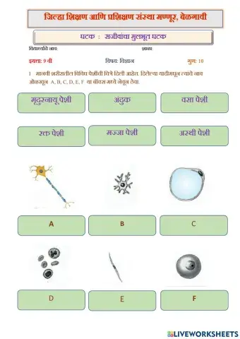 सजीवांचा मूलभूत घटक 2