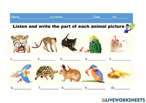 Animal body parts