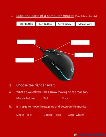 Computer Mouse