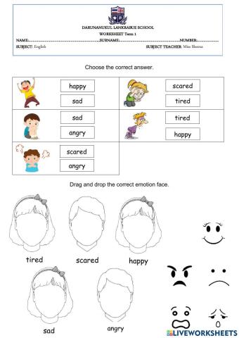 Feelings and Emotions