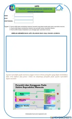 Sistem reproduksi pada manusia