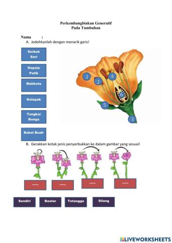 Perkembangbiakan Generatif Tumbuhan