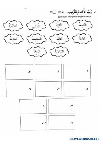 العدد الترتيبي للمؤنث