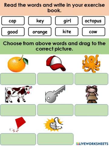Phonics (g,c,o,k)
