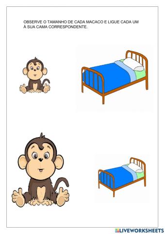 Ligar cada macaco à sua cama correspondente