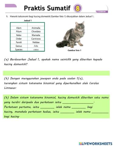 Praktis Sumatif 8 Biodiversiti