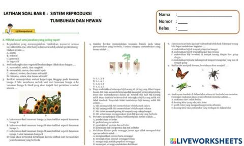 LKPD Sistem Reproduksi Tumbuhan dan Hewan