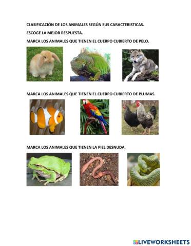 Caracteristicas de los animales