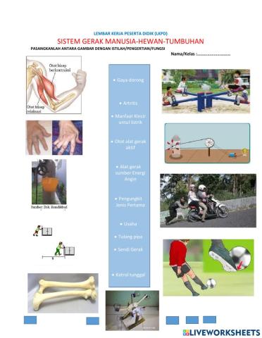 Aqu semangat bergerak