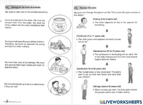 Science worksheet 2 Human life cycle