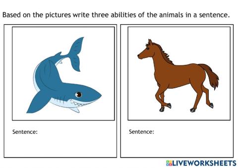 Animal abilities