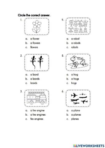 Singular and plural nouns