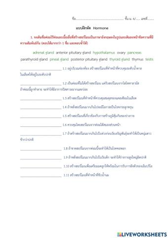 Hormone worksheet