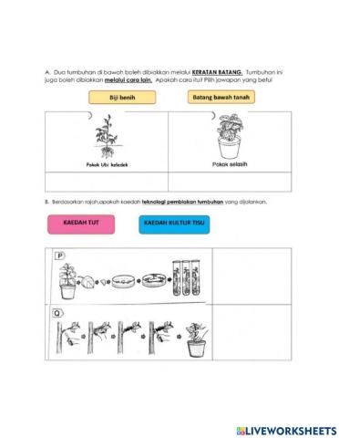 Teknologi Pembiakan Tumbuhan
