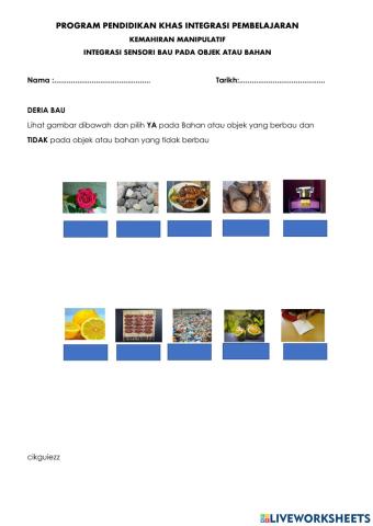 Membezakan Bau Objek