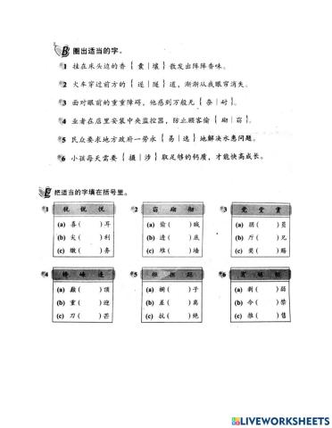 六年级华文形似字和同音字