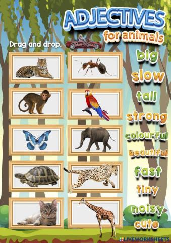 Adjectives for Animals