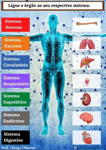 Exercício de Anatomia Humana