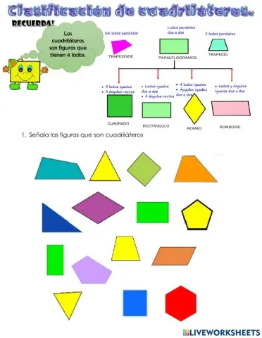 Clasificacion cuadrilateros