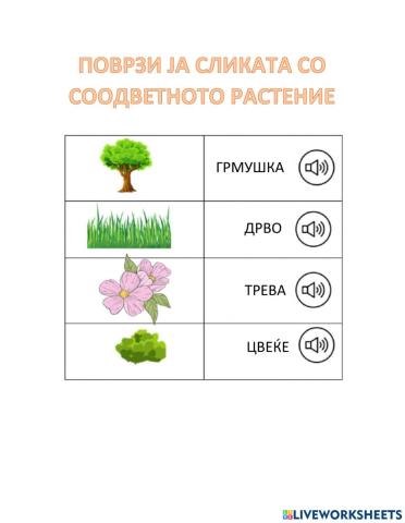 Типови растенија