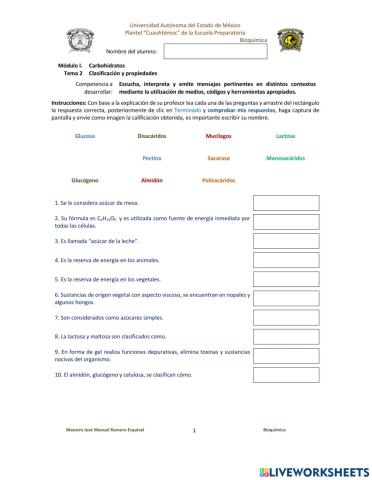 Clasificación carbohidratos