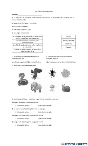 Circulacion celualr y animal