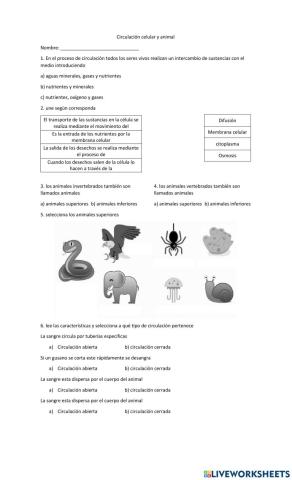 Circulacion celualr y animal