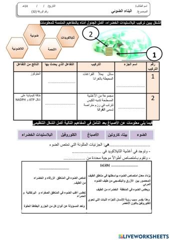 ورقة 32تفاعلية3