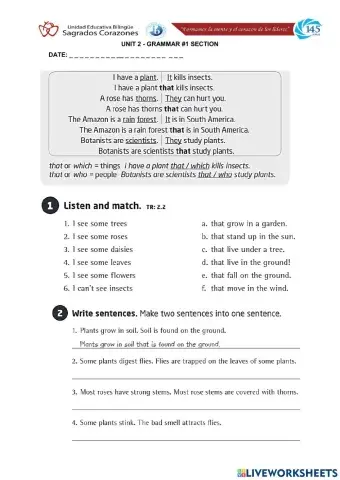 Relative Clause that