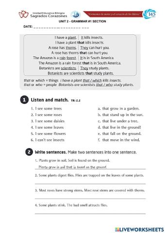 Relative Clause that