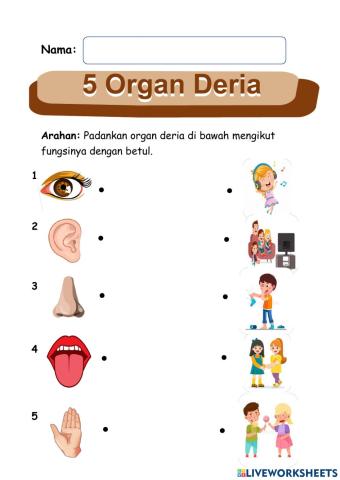 Organ Deria