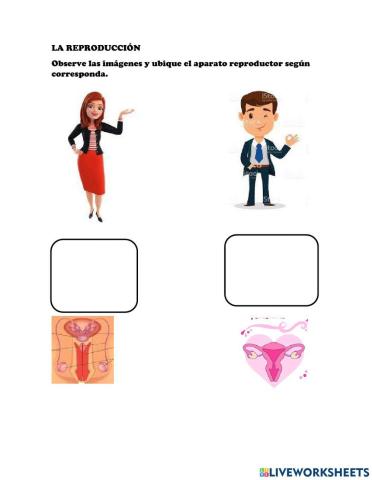 La reproducción