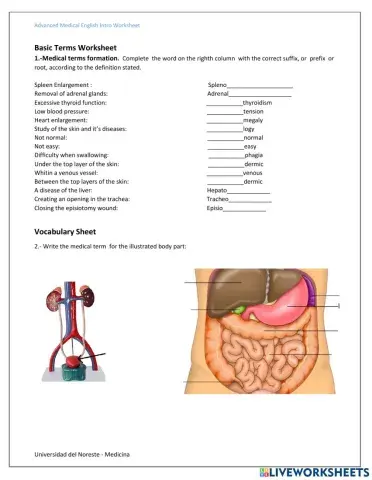 Basic terms in medicine review