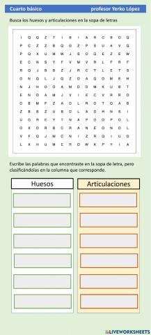 Huesos y articulaciones