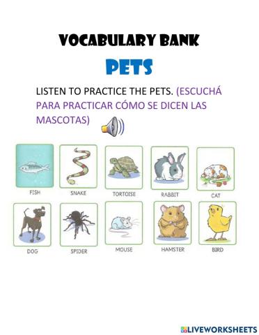 Vocabulary bank pets