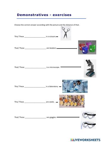 Demonstrative adjectives