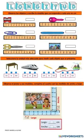 Longitud profe mariela alfaro