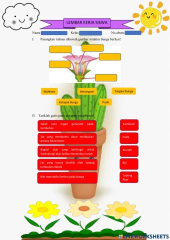 Struktur dan Fungsi Tumbuhan (Organ Tumbuhan)