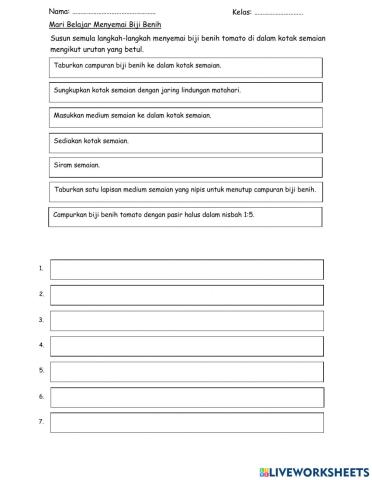 Mari Belajar Menyemai Biji Benih