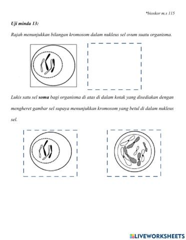 Uji Minda 13 Bioskor m.s 115