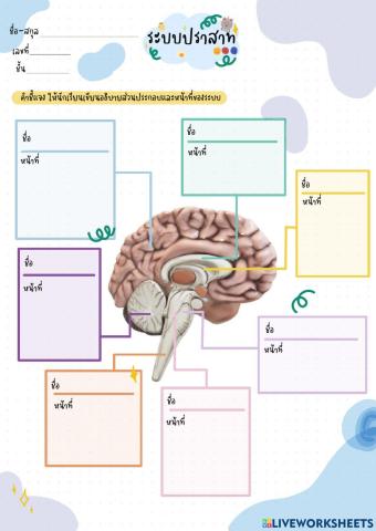 ระบบประสาท