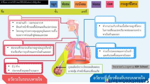ระบบหายใจ