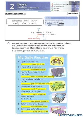 English Plus 1 Student's Book Pg 24-WORKBOOK PAGE 21