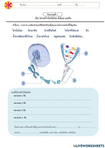 กิจกรรมที่ 1