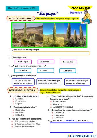 Leemos sobre una planta peruana