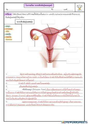 ระบบสืบพันธ์ุเพศหญิง