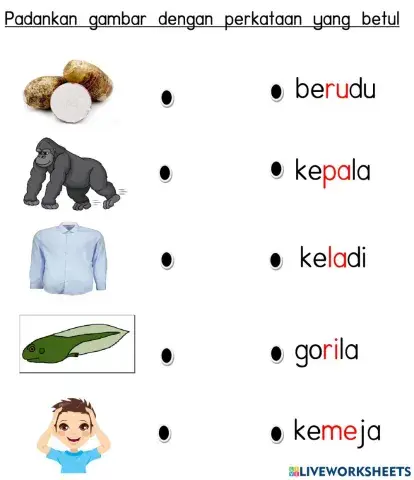 Perkataan KVKVKV (Padankan gambar dengan perkataan yang betul)-2